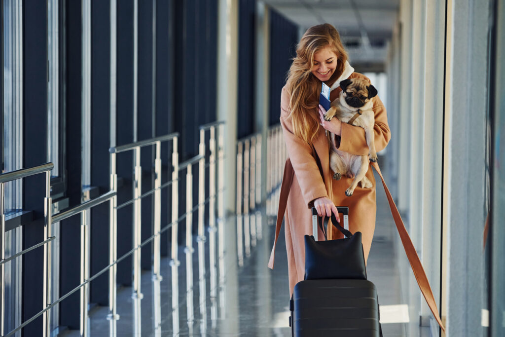 Traveling with pets